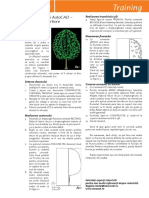 exercitiu-3d-in-autocad-crearea-unui-arbore.pdf