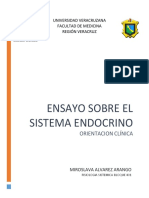 Ensayo Del Sistema Endocrino