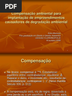 Palestra Compensacao Cesusc 09