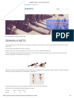 SEMANA 4 - METIS Diario de Entrenamiento PDF