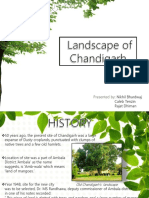Chandigarh Landscape