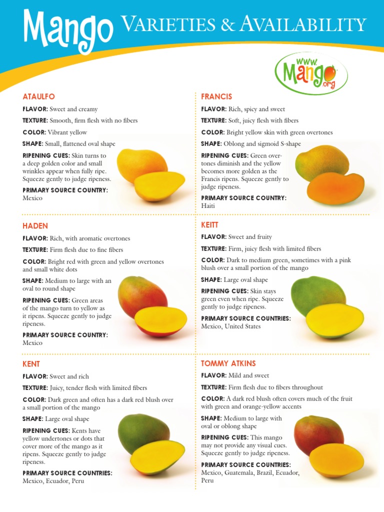 Mango Varieties and Ripeness Guide | PDF | Mango | Edible Fruits