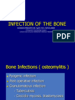 Infection of The Bone: Kusmedi Priharto Dr. Spot, Fics, Fapoa, MMR