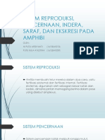 Sistem Reproduksi, Pencernaan, Indera, Saraf