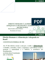 Direito Humano À Alimentação Adequada E Segurança Alimentar E Nutricional