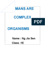 Humans Are Complex Organisms: Name: NG Jia Sen Class:1E