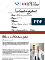 Helicobacter - Merino Torres (1)