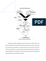 Metabolisme Bilirubin