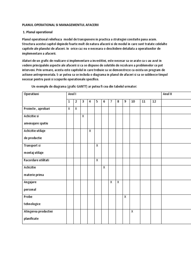 Planul Operational Si Managementul Afacerii | PDF