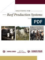 Beef Production Systems: Sustainable Solutions For