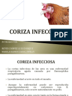 Coriza Infecciosa Aviar