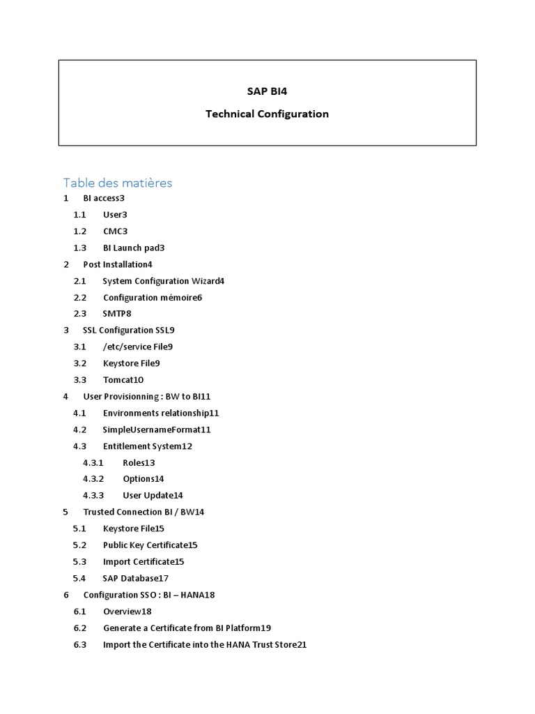 SAP BI4 Technical Configuration Guide | PDF | Domain Name System ...