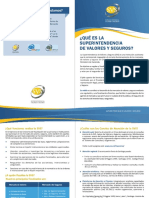 UDP-CONTAII-SVS QUÉ ES.pdf