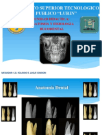 2.-Anatomia Ok Luque Mejorada