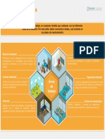 Leccion 1_Infografia 2_Áreas de Trabajo