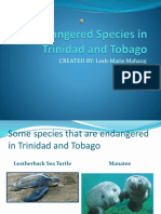 Endangered Species in Trinidad and Tobago