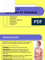 Nutrition in Humans: Peristalsis Process of Digestion Absorption Assimilation The Liver