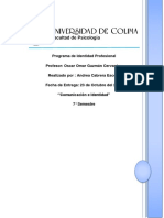 Programa de Identidad Profesional 2 Parcial