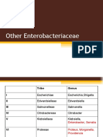 Other Enterobacteriaceae
