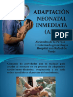 Adaptacion Neonatal