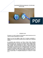 ++++cultivoAguacate.pdf