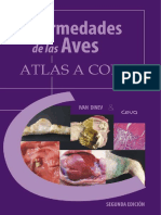 Enfermedades de las Aves ATLAS A COLOR.pdf
