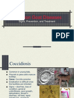 7. Goat Diseases