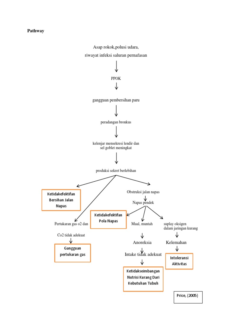Pathway | PDF