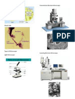 Types of Cells Viewed Under Different Microscopes