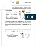 3º Eso Higiene Postural Espalda + Acrosport