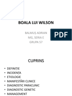 Boala Lui Wilson