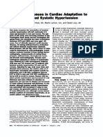 Sex Differences in Cardiac Adaptation to Isolated Systolic HP