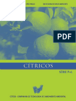 sucos_citricos.pdf