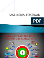 Fase Kerja Toksikan