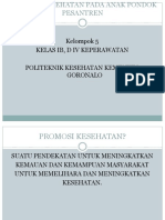 Promosi Kesehatan Pada Anak Pondok Pesantren