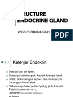 Structure Endocrine Gland: Wida Purbaningsih, DR