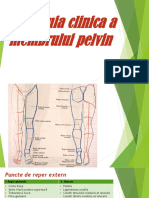 Anatomie Clinica a Membrului Pelvin