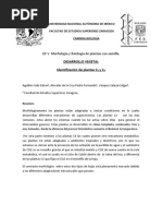 DESARROLLO_VEGETAL_Identificacion_de_pla.docx