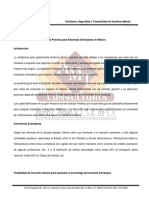 Guia Práctica IE PDF