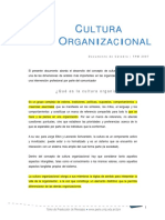 Cultura Organizacional