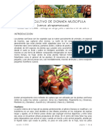 cultivovenus.pdf