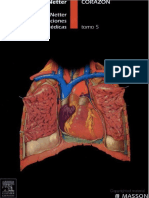 netter_corazon.pdf