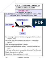 UT 5 Flujo viscoso.pdf