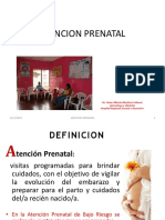 Atencion Prenatal