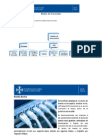 Medios de Transmisión