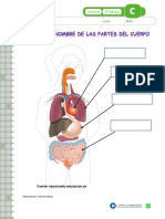 FICHA DE REFUERZO EL NOMBRE DE LAS PARTES DEL CUERPO.pdf