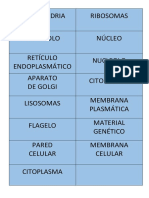 Nombres de Celulas