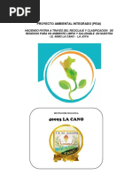 PROYECTO AMBIENTAL INTEGRADO