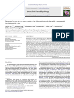 Barnyard Grass Stress Up Regulates The Biosynthesis of Phenolic Compounds in Allelopathic Rice