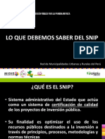 QUE-ES-EL-SNIP.pdf